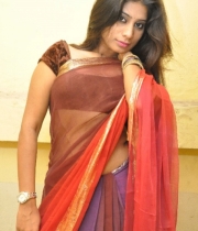 413_15_midhuna-waliya-hot-transparent-saree-photos-15