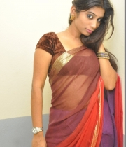 413_18_midhuna-waliya-hot-transparent-saree-photos-18