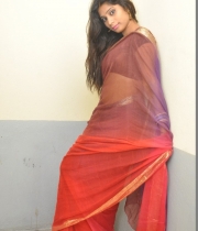 413_19_midhuna-waliya-hot-transparent-saree-photos-19