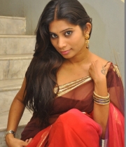 413_1_midhuna-waliya-hot-transparent-saree-photos-1