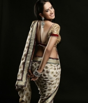 monali-sehgal-hot-pics-in-saree-2013-1