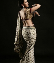 monali-sehgal-hot-pics-in-saree-2013-5