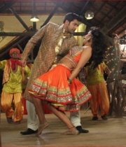 mumaith-khan-item-song-hot-stills-6