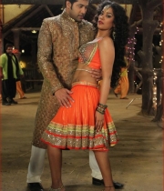 mumaith-khan-item-song-hot-stills-7