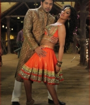 mumaith-khan-item-song-hot-stills-9