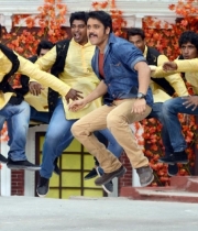 nagarjuna-bhai-movie-songs41379250893