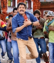 nagarjuna-bhai-movie-songs51379250893
