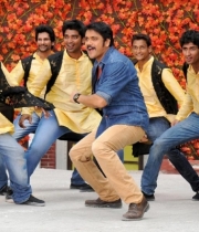nagarjuna-bhai-movie-stills101379250893