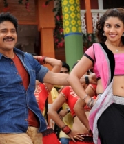 nagarjuna-bhai-movie21379250892