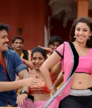 richa-gangopadhyay-hot-bhai-movie-stills1379250894