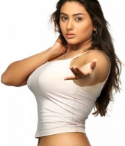 namitha-hot-photoshoot-photos-4