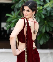 jr-katrina-zarine-khan-hot-pics-in-red-saree-1