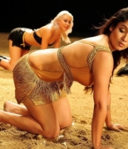 nayanthara-hot-photos-2