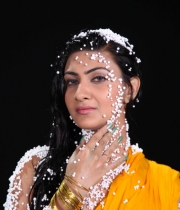 neelam-upadhyay-photos-10