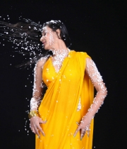 neelam-upadhyay-photos-12