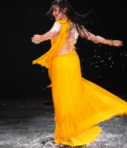 neelam-upadhyay-photos-15