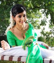 action-3d-neelam_upadhyay-spicy-navel-stills-14