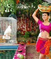 action-3d-neelam_upadhyay-spicy-navel-stills-15
