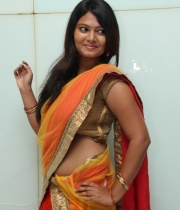 neha-latest-half-sari-photos-05