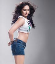 nikesha-patel-hot-photo-shoot-pictures-2