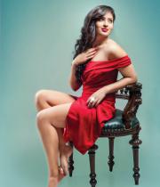nikesha-patel-hot-photo-shoot-pictures-3