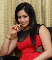 nikesha-patel-red-hot-photos-17