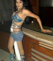 nikita-rawal-hot-photos-03