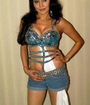 nikita-rawal-hot-photos-05