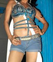 nikita-rawal-hot-photos-08