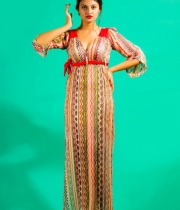 nikitha-narayan-new-photo-shoot-1