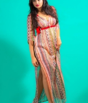 nikitha-narayan-new-photo-shoot-2