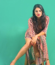 nikitha-narayan-new-photo-shoot-3