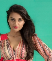 nikitha-narayan-new-photo-shoot-5