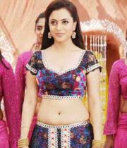 nisha-agarwal-hot-navel-show-photos-_10_