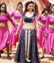 nisha-agarwal-hot-navel-show-photos-_6_