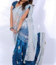 Nisha Agarwal Latest Hot Navel Show Stills in Saree, Nisha Agarwal Hot Saree Photos