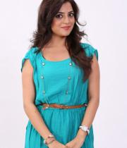 nisha-agarwal-latest-photos-in-blue-dress-16
