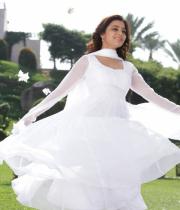 nisha-agarwal-new-photo-stills-30