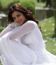 nisha-agarwal-new-photo-stills-40