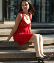 nisha-kothari-hot181380861734