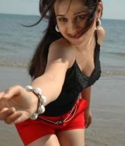 nisha-kothari-hot21380861733