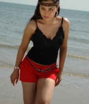nisha-kothari-hot41380861733
