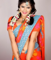 nisha-sharma-hot-pics-in-saree-1