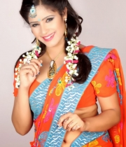 nisha-sharma-hot-pics-in-saree-3