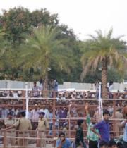 ntr-baadshah-audio-release-stills-set2-13