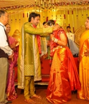 nukarapu-suryaprakash-rao-daughter-grishma-marriage-photos-8