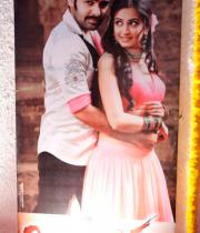 Ongole Gitta Audio Release Photos