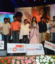 paisa-audio-launch-stills-20