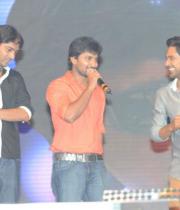 paisa-audio-launch-stills-49
