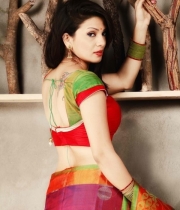 actress-parinidhi-hot-stills31380288075